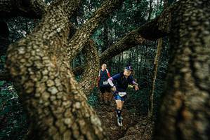 BIB: 
                            <button type="button" onclick="openModal(25698361)" class="btn btn-primary btn-sm float-right btn-popup" data-toggle="modal" data-target=".modal-high-quality">
                        <i class="fas fa-shopping-cart"></i> Add to Cart
                    </button>
                                            <button type="button" onclick="isThisMe(25698361, true)" class="btn btn-success btn-sm float-right btn-popup btn-isme hidden" data-toggle="tooltip" data-placement="bottom" title="นี่คือรูปของคุณใช่ไหม คลิกที่นี่เพื่อเอาเข้าอัลบั้ม">
                        <i class="fas fa-plus"></i> Add to album
                    </button>
                    <button type="button" onclick="isThisMe(25698361, false)" class="btn btn-warning btn-sm float-right btn-popup btn-isnotme hidden">
                        <i class="fas fa-ban"></i> Remove from album
                    </button>